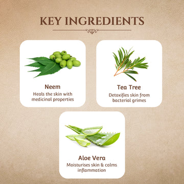 Anti-Acne & Spot Removal Tea Tree & Neem Ayurvedic Serum Sheet Mask (Pack of 3)